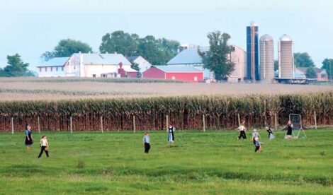 The Amish Tradition of Baseball Image
